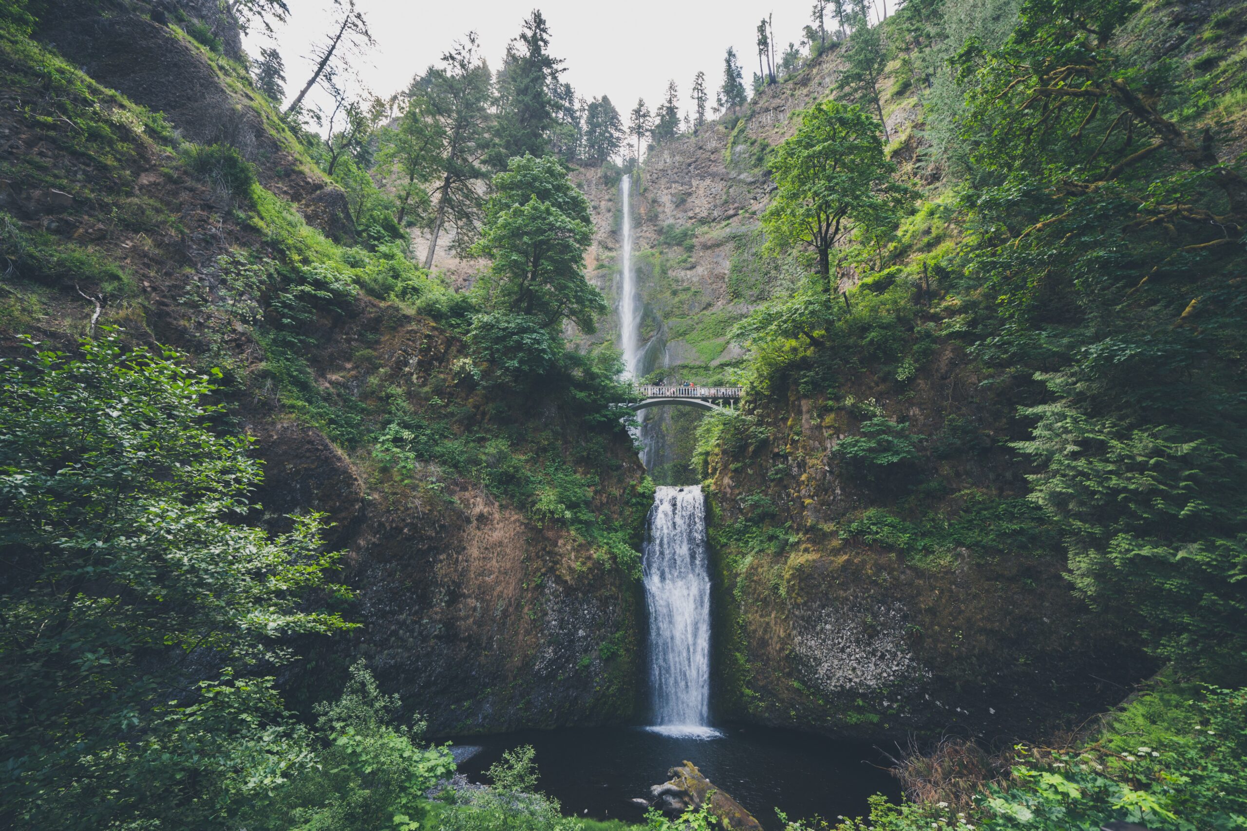 Understanding Centrifugal Pump Types: A Basic Guide for Industrial and Municipal Applications